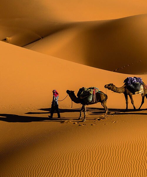 Egypt 500x600